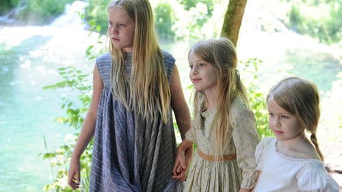 Der Teufel mit den drei goldenen Haaren Bild 1