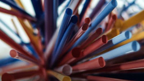 Um Presente À Prova de Futuro Bild 1