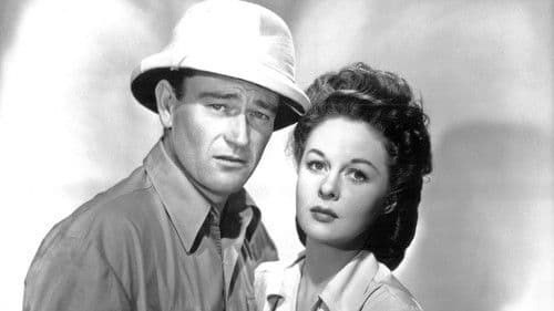 Alarm im Pazifik Bild 2