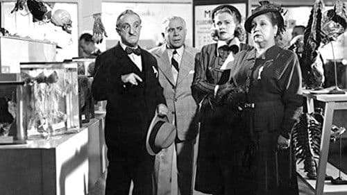 Martín pescador Bild 1