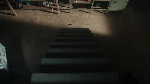 Der Mann, der immer kleiner wurde Bild 6