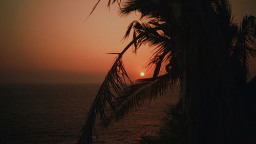 El Arma del Discurso Bild 1