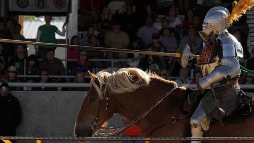 Knights of Mayhem Bild 3