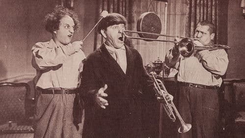 Idiots Deluxe Bild 2