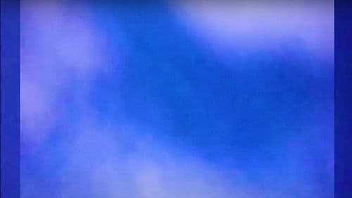 Wind in the Trees Bild 3