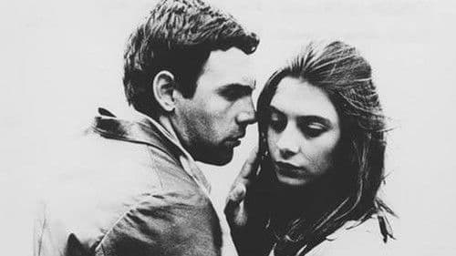 Los jóvenes viejos Bild 1