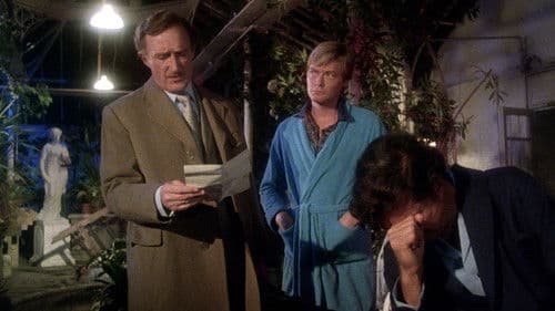 Schatten um Dominique Bild 5