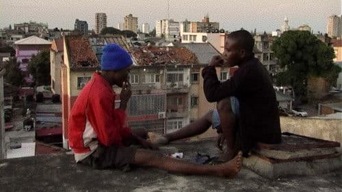 O Ouro e o Mundo Bild 3