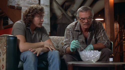 Die Traumtänzer Bild 1