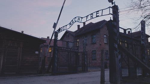 The Last Twins Bild 4