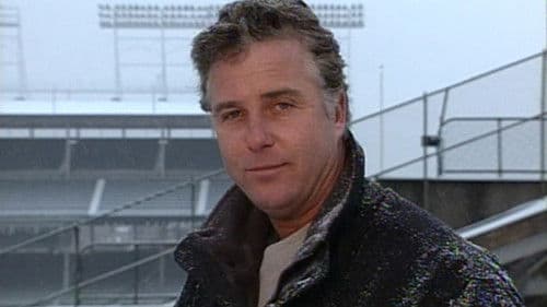 Wrigley Field: Beyond the Ivy Bild 3