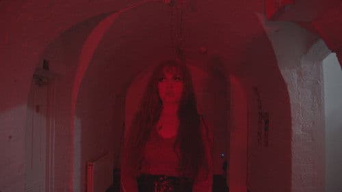 Sons And Daughters Of Nothing Bild 2