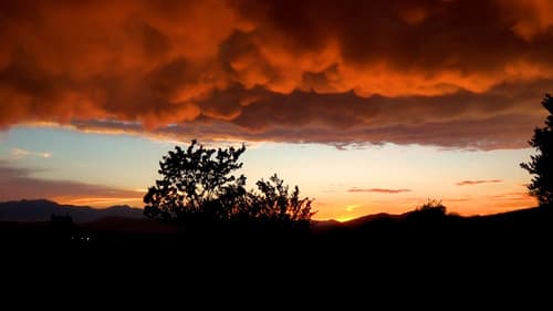 Entering The Rainbow Bild 3