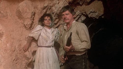 Der Liquidator Bild 3