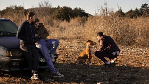 Schrottplatzköter Bild 4