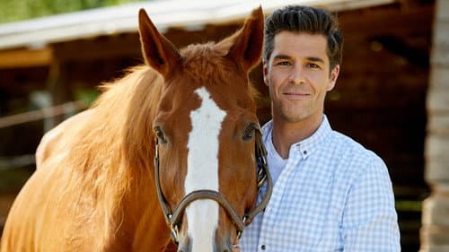 Animaux à la retraite Bild 2