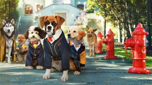 Welpenakademie Bild 6