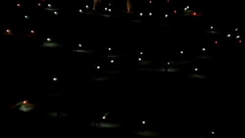 Carnaval de Québec Bild 5