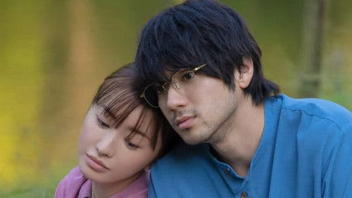 夜、鳥たちが啼く Bild 2