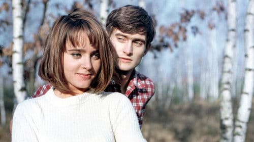 Dancing w kwaterze Hitlera Bild 5