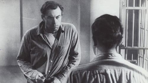 The Steel Cage Bild 1