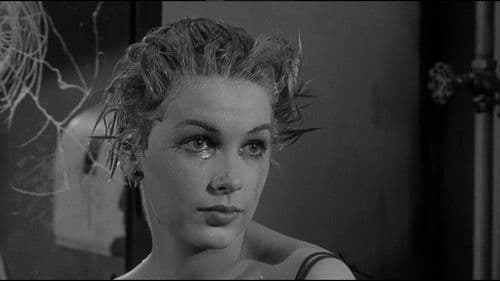 Too Late Blues Bild 3