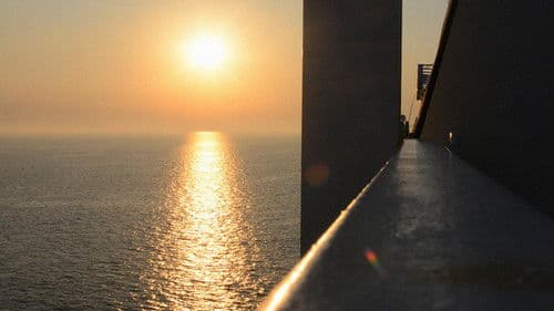 Vilja til å handle forhasta Bild 4