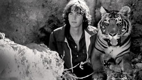 Sultan and the Rock Star Bild 3