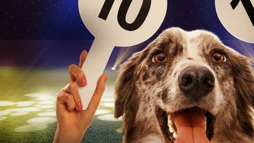 The Secret Life of Dancing Dogs Bild 1