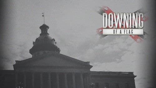 Downing of a Flag Bild 1