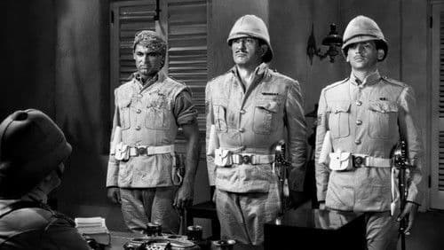 Aufstand in Sidi Hakim Bild 2