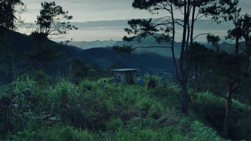 Chico ventana también quisiera tener un submarino Bild 2