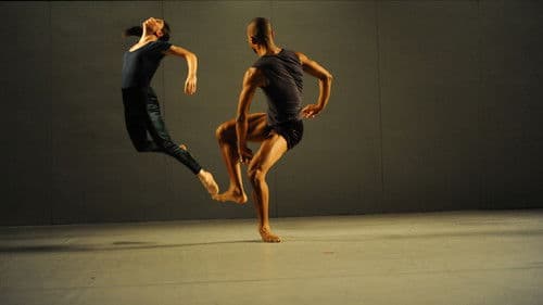 The Art of Ohad Naharin - Volume 2 (Sadh21) Bild 2
