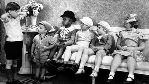 Spanky beim Fotografen Bild 1