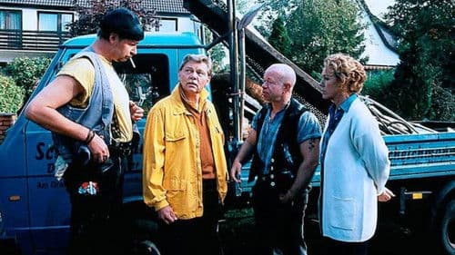 Der kleine Dachschaden Bild 1