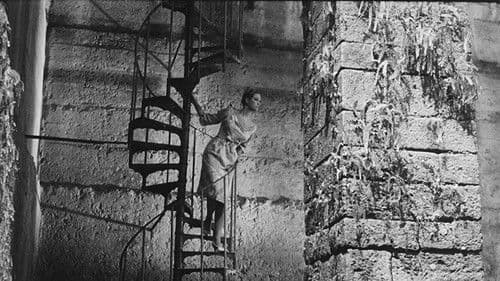 Sandra - Die Triebhafte Bild 8