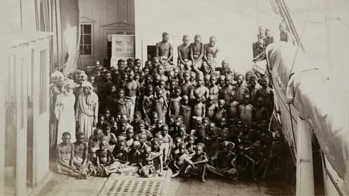 Menschenhandel - Eine kurze Geschichte der Sklaverei Bild 6