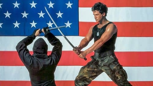 American Fighter Bild 1