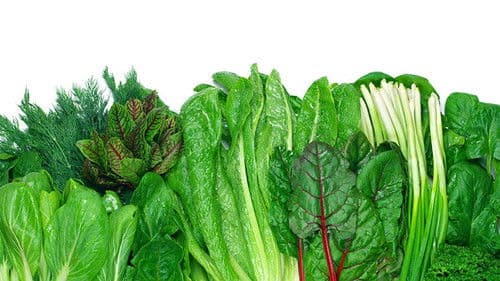 Foods That Cure Disease Bild 1