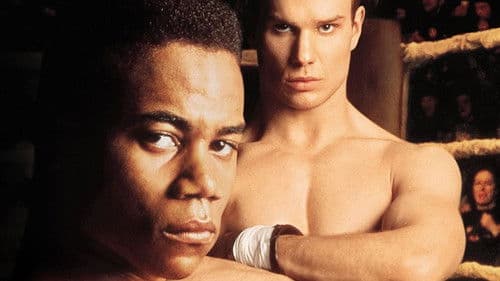 Fäuste - Du musst um dein Recht kämpfen Bild 6