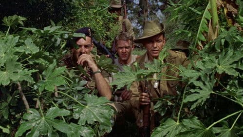 Wenn das Blut kocht Bild 8