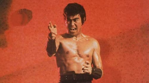 Sonny Chiba - Der unerbittliche Vollstrecker Bild 7