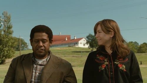 My Own Love Song Bild 2