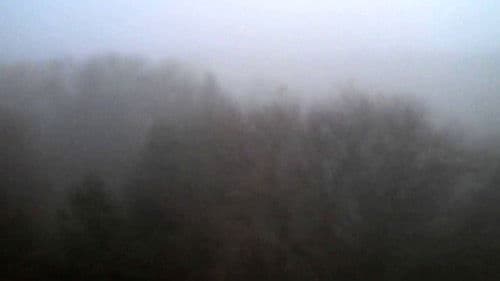 The Land Above The Trees Bild 1