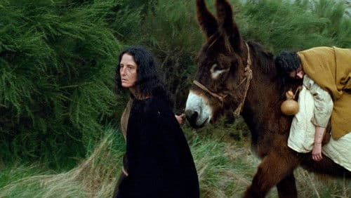 Eles Transportan a Morte Bild 7