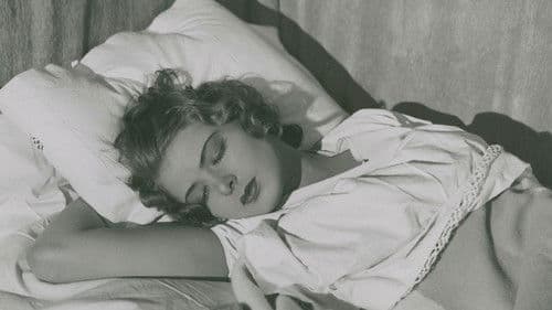 Munkbrogreven Bild 1