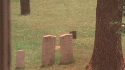 The Winter There Was Very Little Snow Bild 5