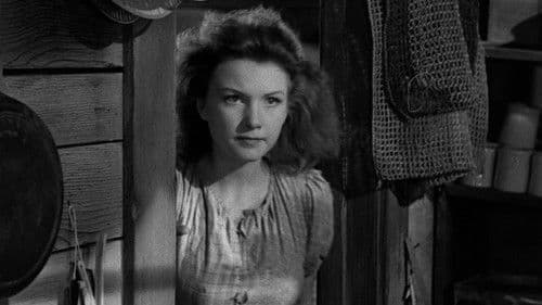 In den Sümpfen Bild 3