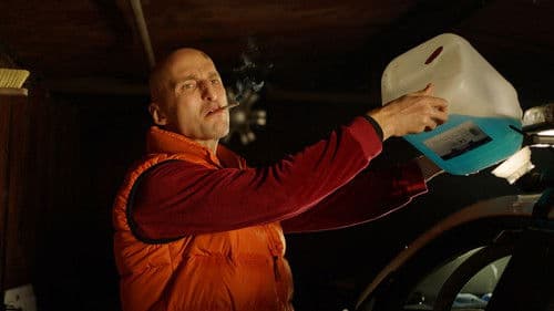 Tulnukas 2 ehk Valdise tagasitulek 17 osas Bild 3