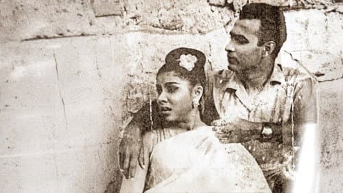 රන්මුතු දූව Bild 1